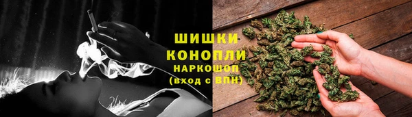 крисы Армянск