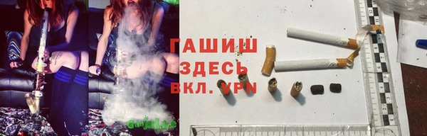 spice Алзамай