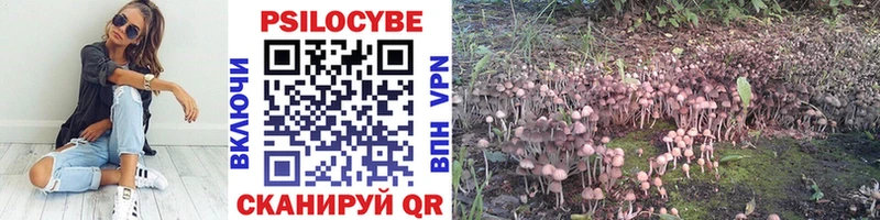 где купить наркоту  мориарти состав  Галлюциногенные грибы GOLDEN TEACHER  Безенчук 